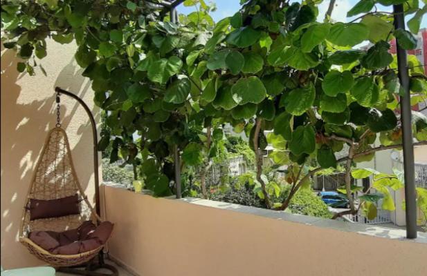 Guest house & Tomanovic 3*